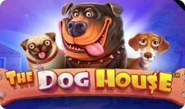 Vegas Days – The Dog House